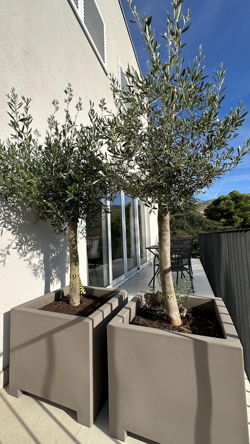 Arte Oliva Grebaštica Exterior foto